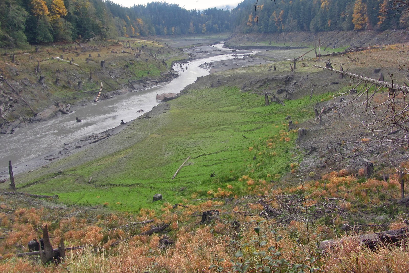The dams came down; now the land goes home: Lower Elwha law caps Congress’s pre-recess run of tribal land and water bills