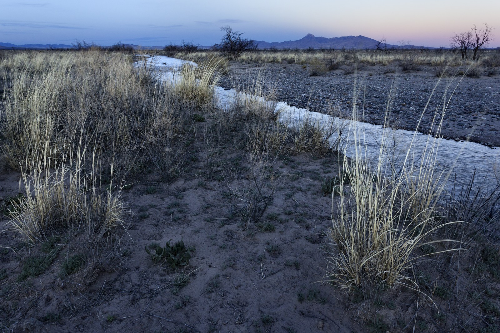 Nearly a century after a university dig, almost 200 Mimbres ancestors are home, reburied under the lead of Hopi and Pueblo communities